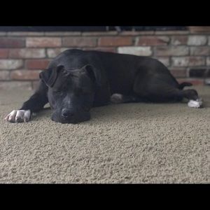 Meet your Posher, Marissa